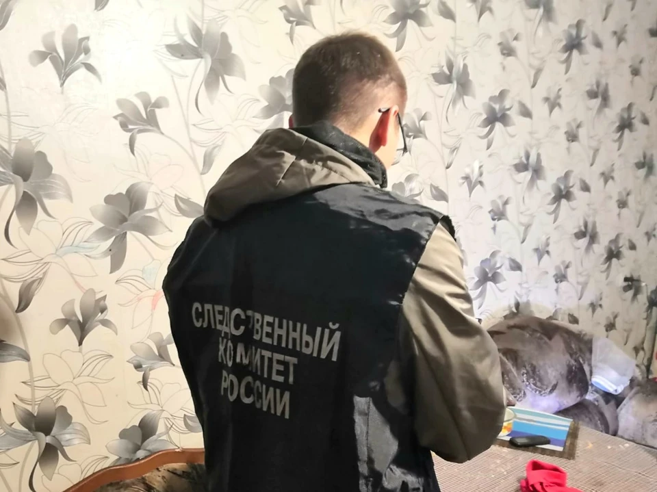 Мужчина признал свою вину в избиении ребенка. Фото: СКР по Мурманской области
