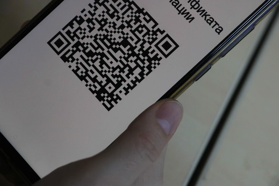 QR-коды в тульских ТЦ: где-то посетители устраивают драку на входе, а в других проверкой никто не занимается