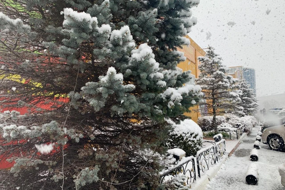 Это нормально вообще: во Владивостоке в мае выпал снег