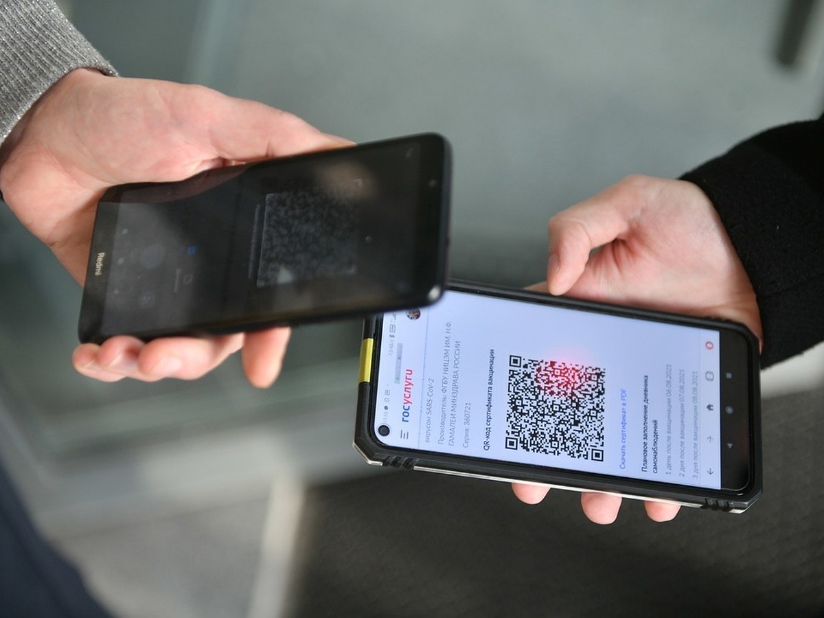 Новосибирские испытатели китайской вакцины «Конвиденция» получили QR-коды -  KP.RU