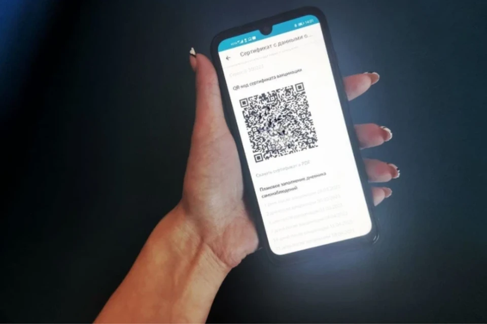 Запрет на посещение ТЦ без QR-кодов снизил поток посетителей в три-четыре раза.