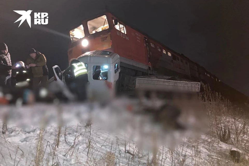 Фото: ГУ МВД по Красноярскому краю