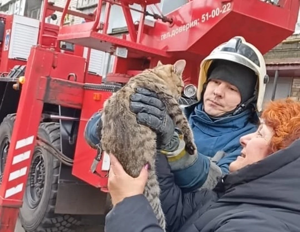 Фото: сайт ГУ МЧС по Курской области.