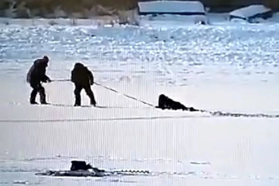 Из воды мужчину вытянули очевидцы.