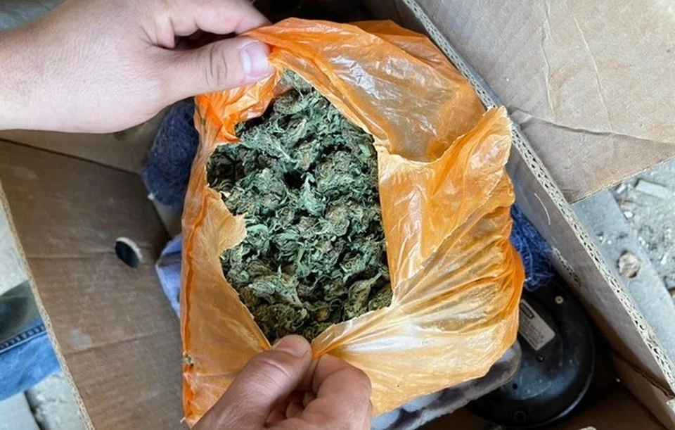 В Саках сотрудники полиции изъяли более трех килограмм марихуаны. Фото: пресс-служба МВД по РК