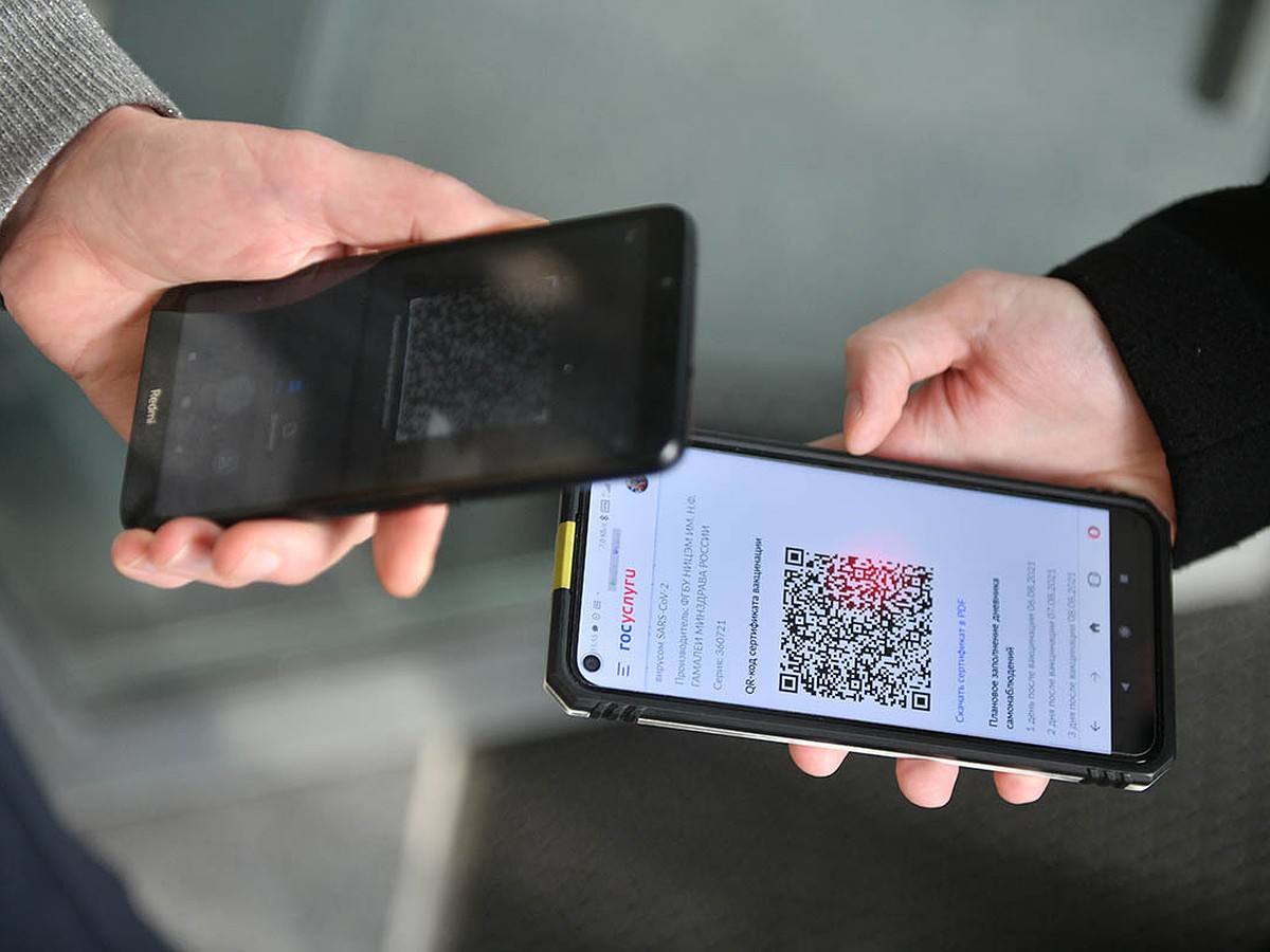 CК России выявил по стране массовые случаи подделки QR-кодов - KP.RU