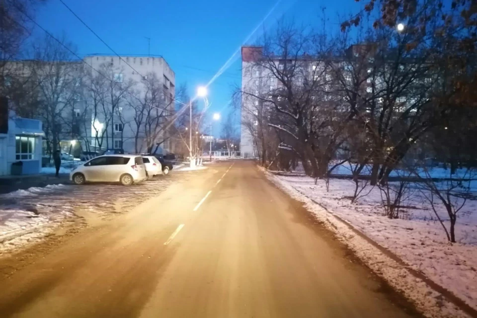 Внедорожник насмерть сбил коня под Биробиджаном