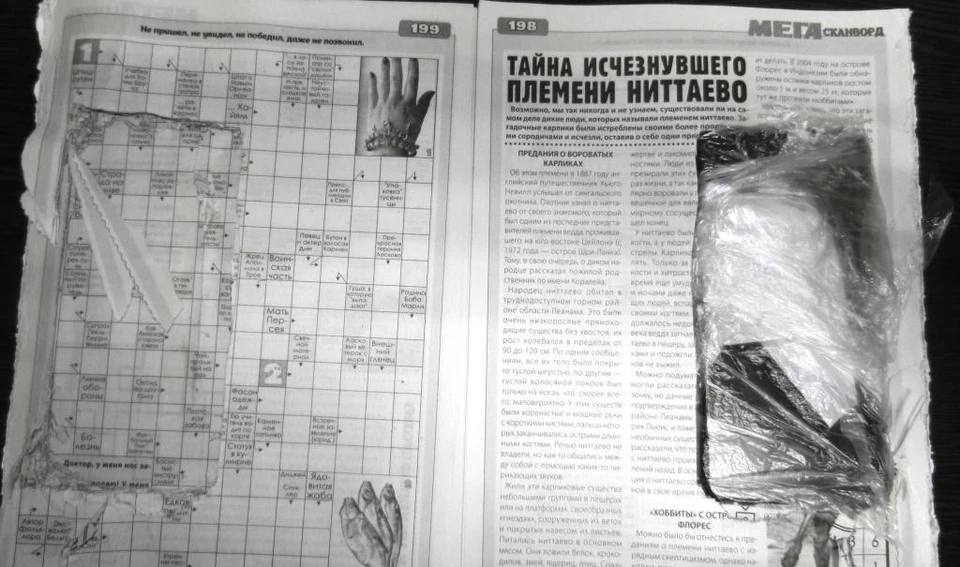 В журнале сканвордов тщательно вырезали полость, чтобы поместить туда гаджет. Фото: Пресс-служба УФСИН России по Мурманской области.