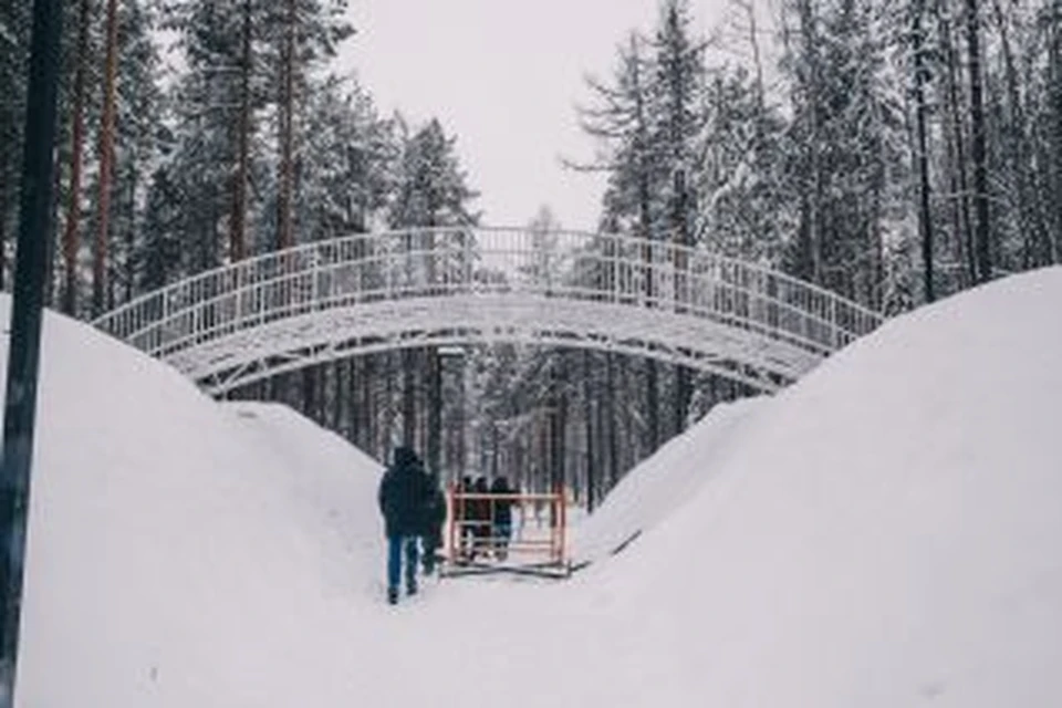 Центральный лес культуры и отдыха благоустроен уже на 98% Фото: Администрация Нягани
