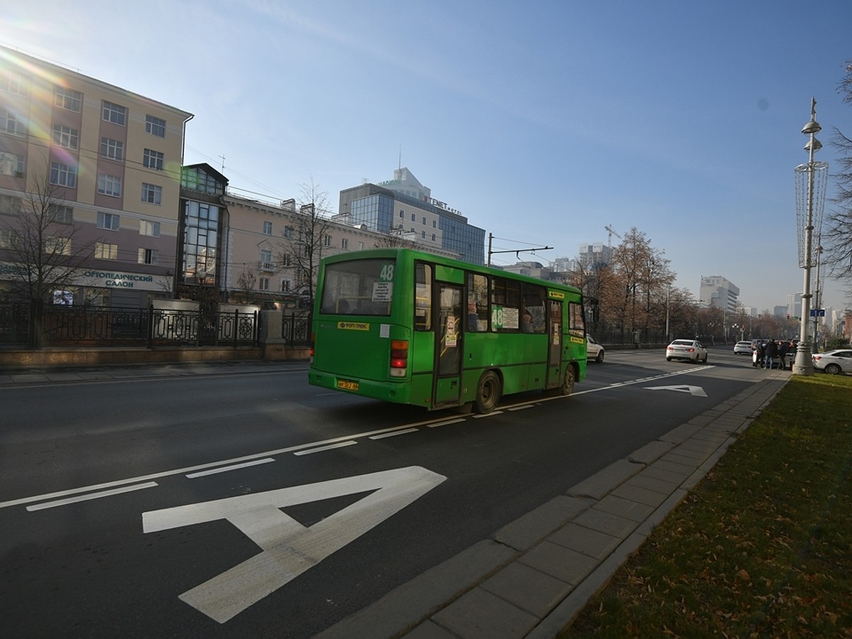 Транспортная карта в Ростове: где купить и как оформить льготный проезд -  KP.RU