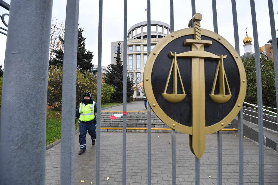 Суд назначил многодетной матери наказание в виде 1 года и 10 месяцев ограничения свободы со штрафом 20 тысяч рублей