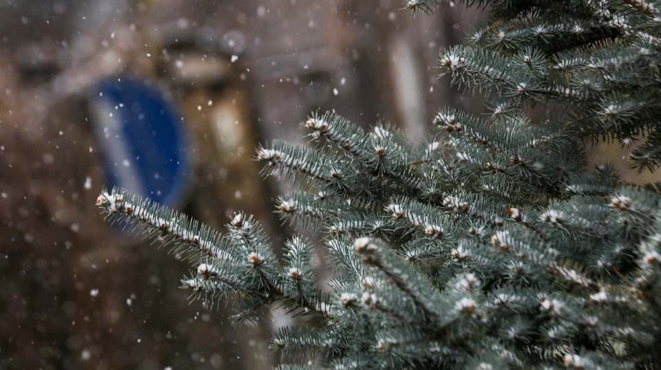 В течение недели ожидается небольшой и умеренный снег. Фото: Сергей Грачев