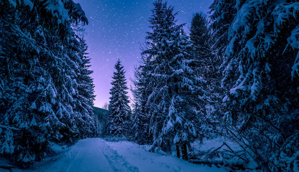 Фото: pexels