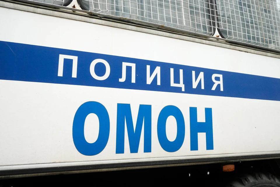 Суд оставил в силе приговор за нападение на машину ОМОНа в Мурино.