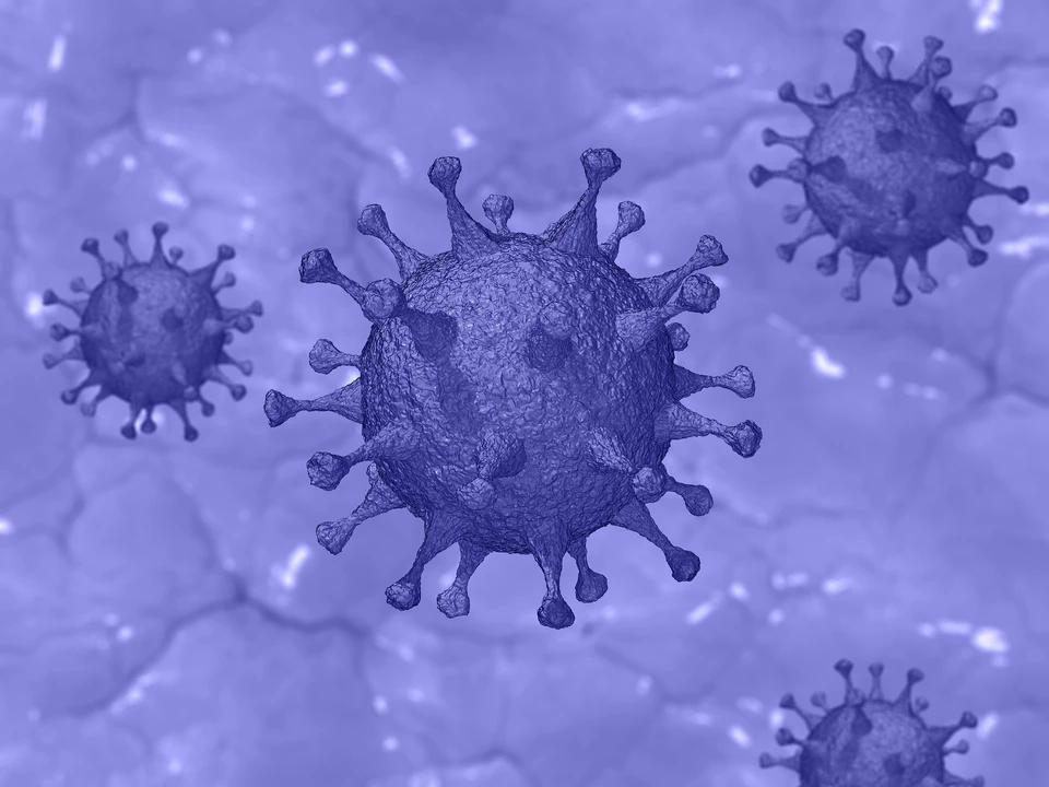 За последние сутки коронавирус подтвердился у 98 ижевчан. Фото: pixabay.com