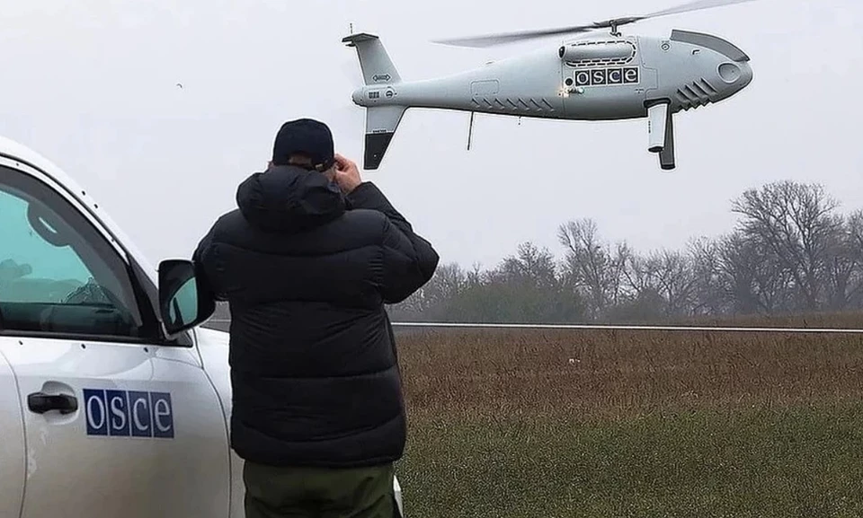 В Донбассе украинские военные снова препятствовали работе ОБСЕ. Фото: СММ ОБСЕ
