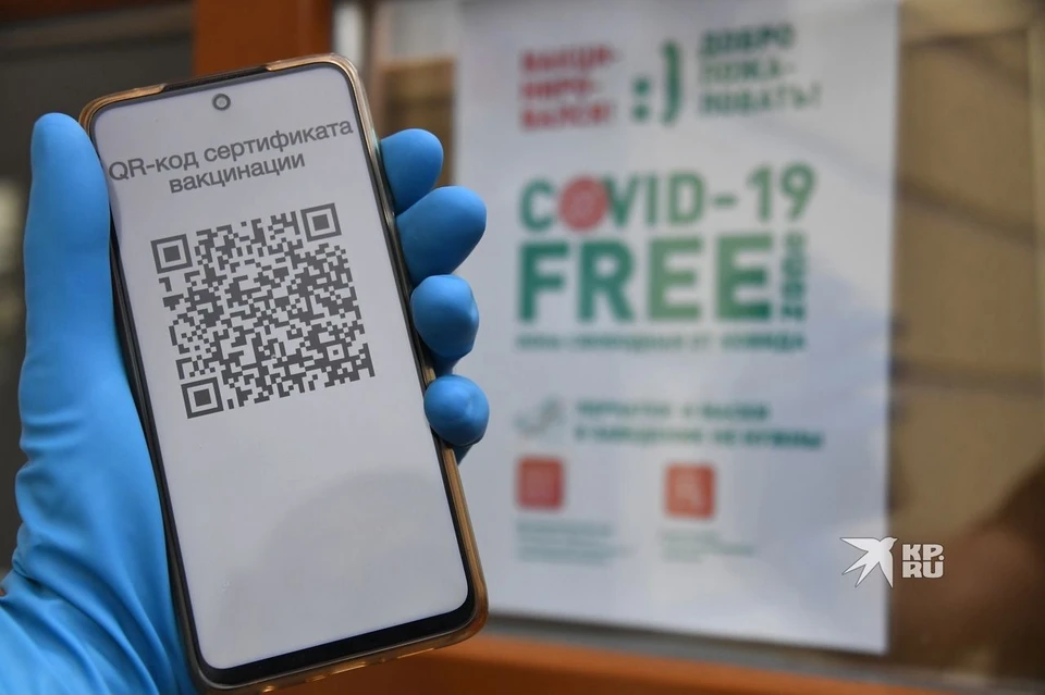 Согласно предложению, к распространению QR-кодов среди людей старшего возраста можно было бы привлечь добровольческие движения.