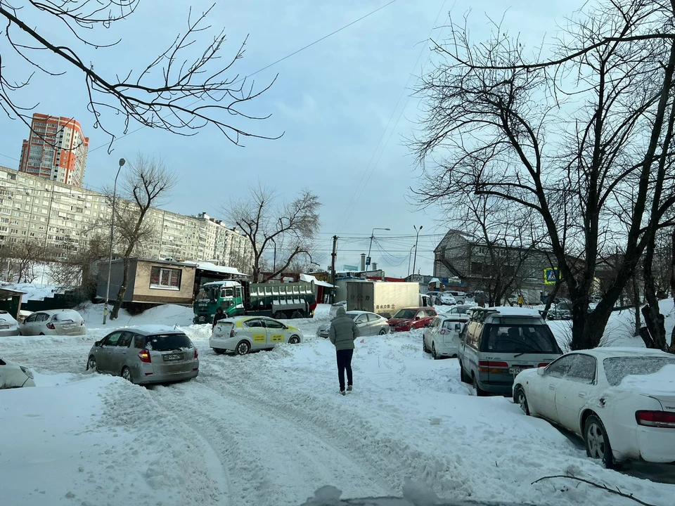 Во Владивостоке стихия замуровала в снежный наст автомобили. Предоставлено КП