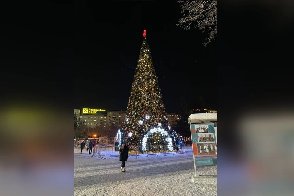 Купить Новогоднюю Елку В Новосибирске Купить Новогоднюю Елку В Новосибирске