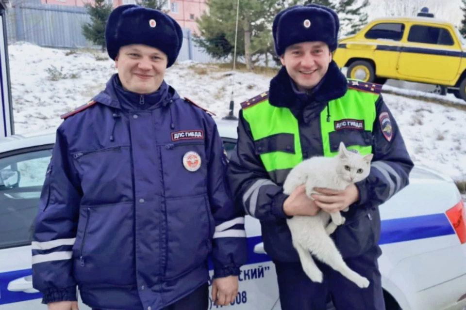 Полиция пришла на помощь