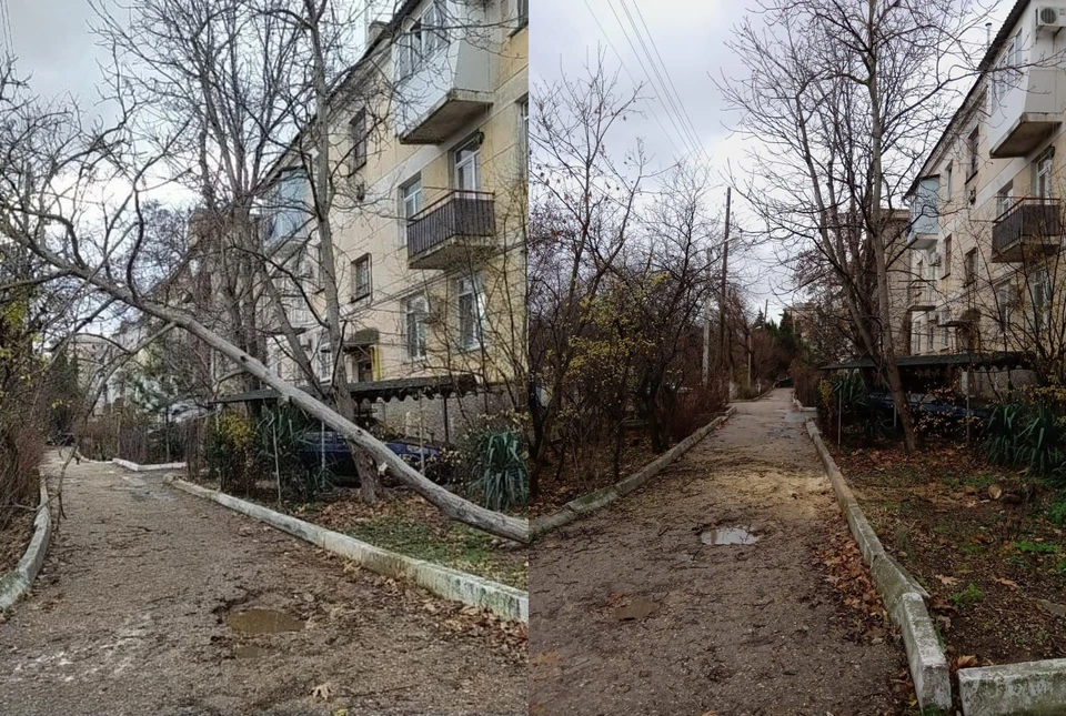 29 ноября жители улицы Кожанова написали комментарий на странице губернатора в социальной сети «В Контакте», что рядом с их домом дерево лежит на проводах. С момента обращения до решения проблемы прошел 1 час и 10 минут