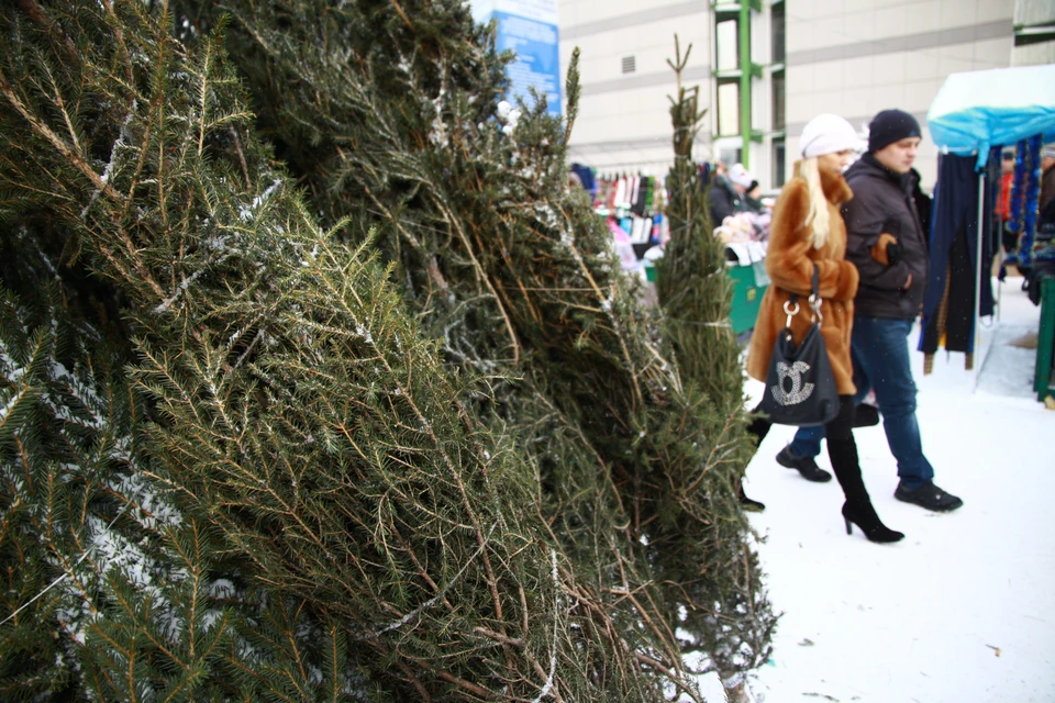27 елочных базаров начнут работать в Иркутске с 18 декабря