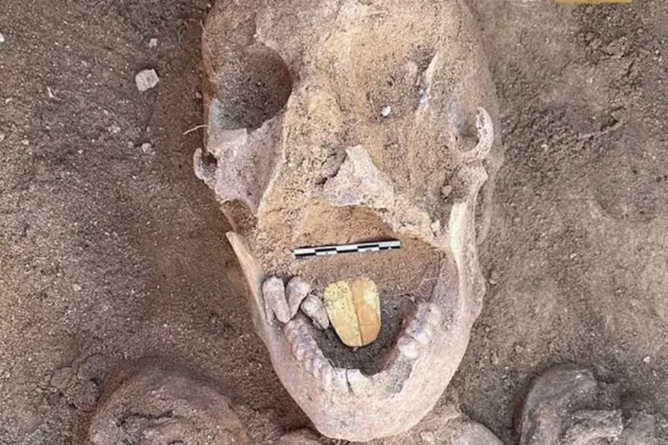 B черепах у каждой из мумий – язык, сделанный из золотой фольги