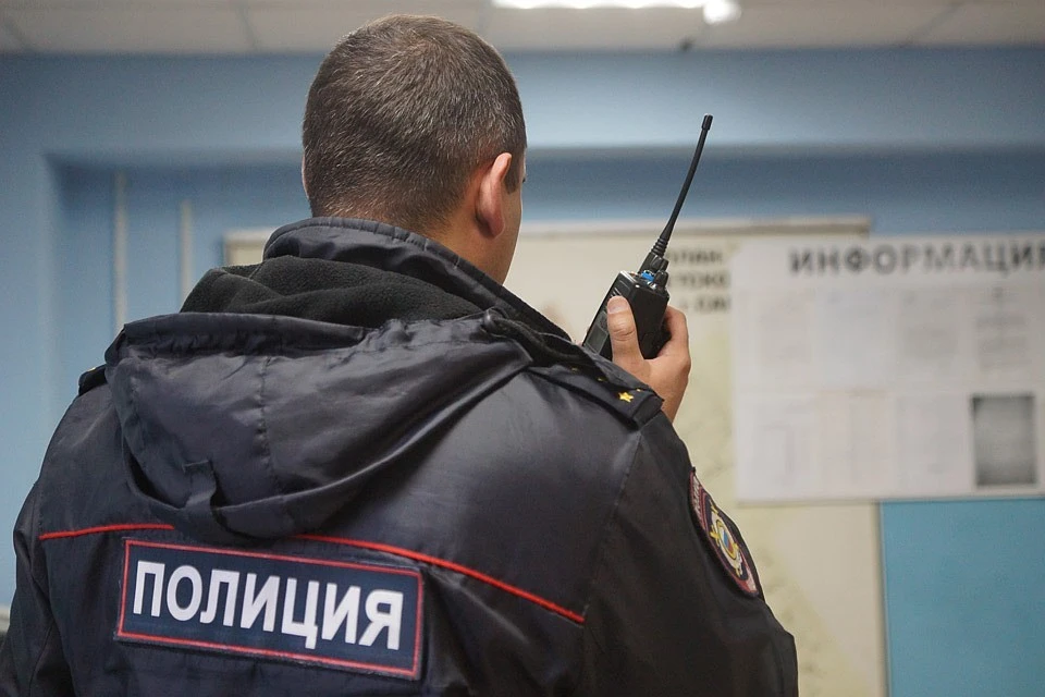 Подозреваемого в грабеже задержали