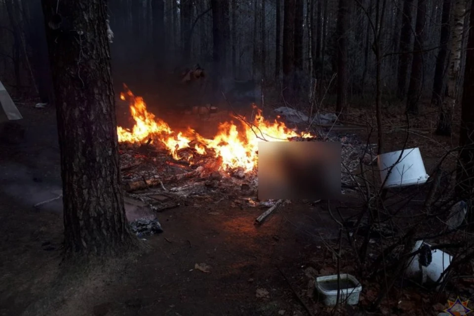 Девушка сгорела в шалаше в Гродненском районе. Фото: МЧС Беларуси