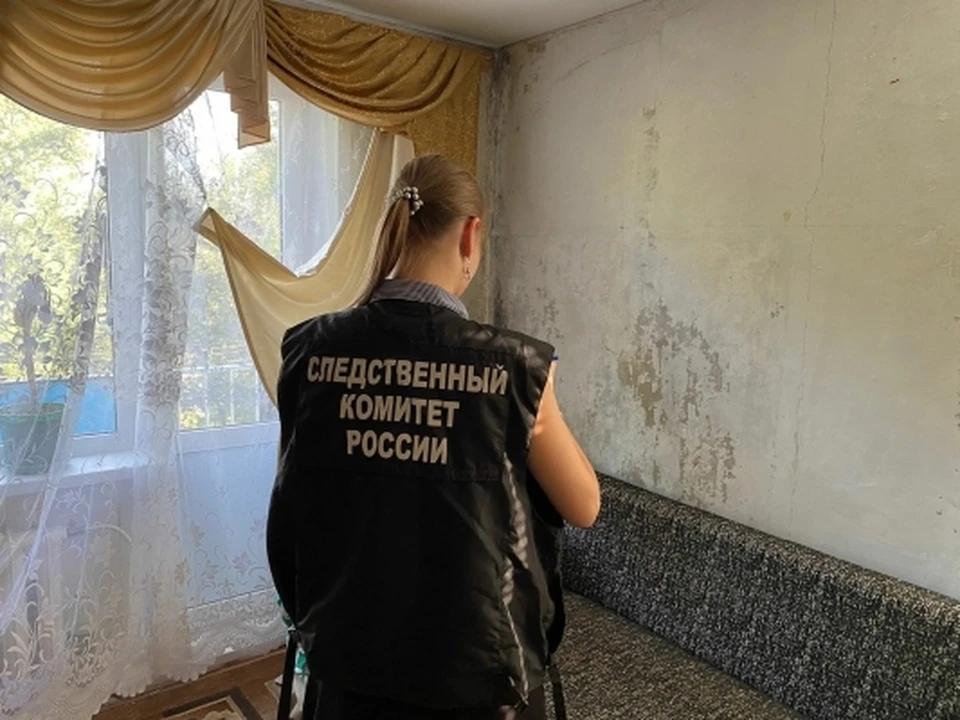 Фото: СУ СК по Саратовской области