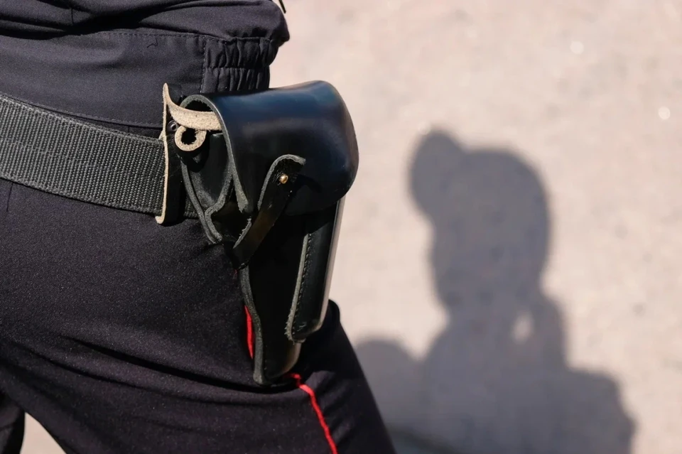 В Ленобласти задержали двух закладчиков, напавших на полицейских в Петербурге.