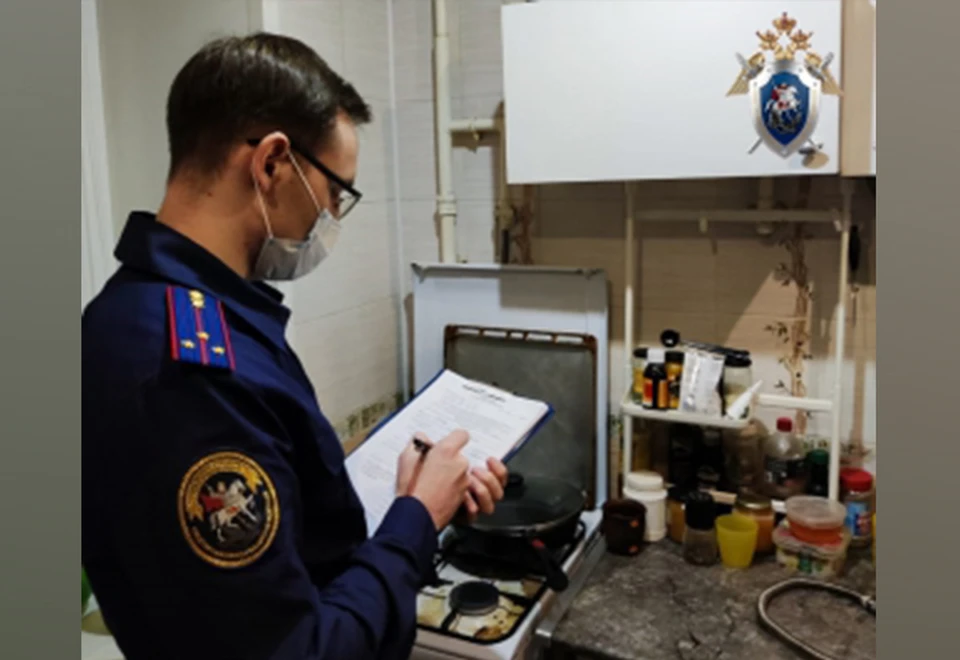 Названа предварительная причина отравления угарным газом многодетной семьи в Нижнем Новгороде.