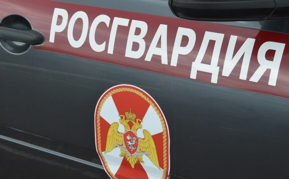 Фото: Ольга СУПОНЕВА