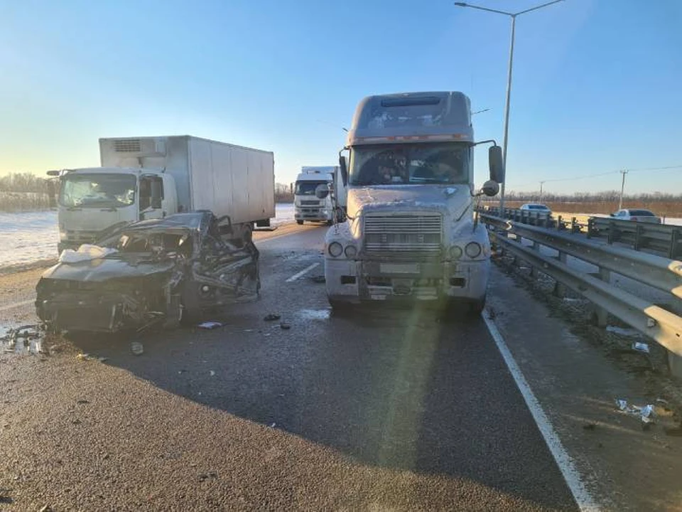 Фура с мертвым водителем в петербурге проехала несколько километров