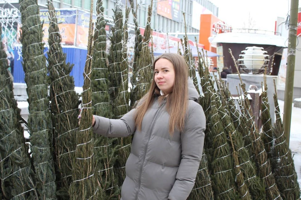 Где и за сколько купить живую елку в Иркутске. Фото: Андрей ГУСЕВСКИЙ.