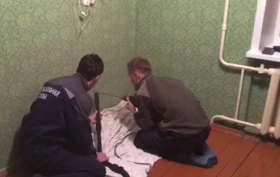 В Смоленске спасатели достали кошку из вентиляционной шахты. Фото: СОГБУ "Пожарно-спасательный центр".