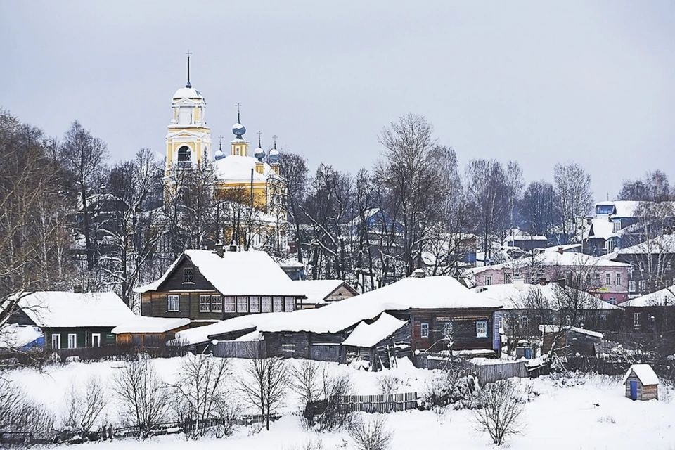 Фото: пресс-служба думы Костромской области