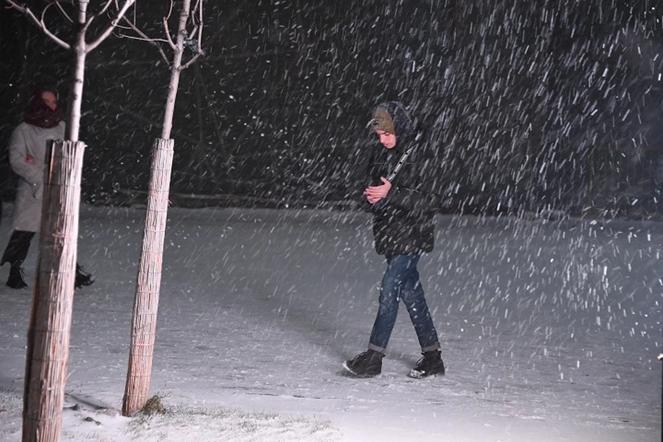 Пасмурно и снежно: синоптики рассказали, когда до Хабаровского края дойдет новый снежный циклон