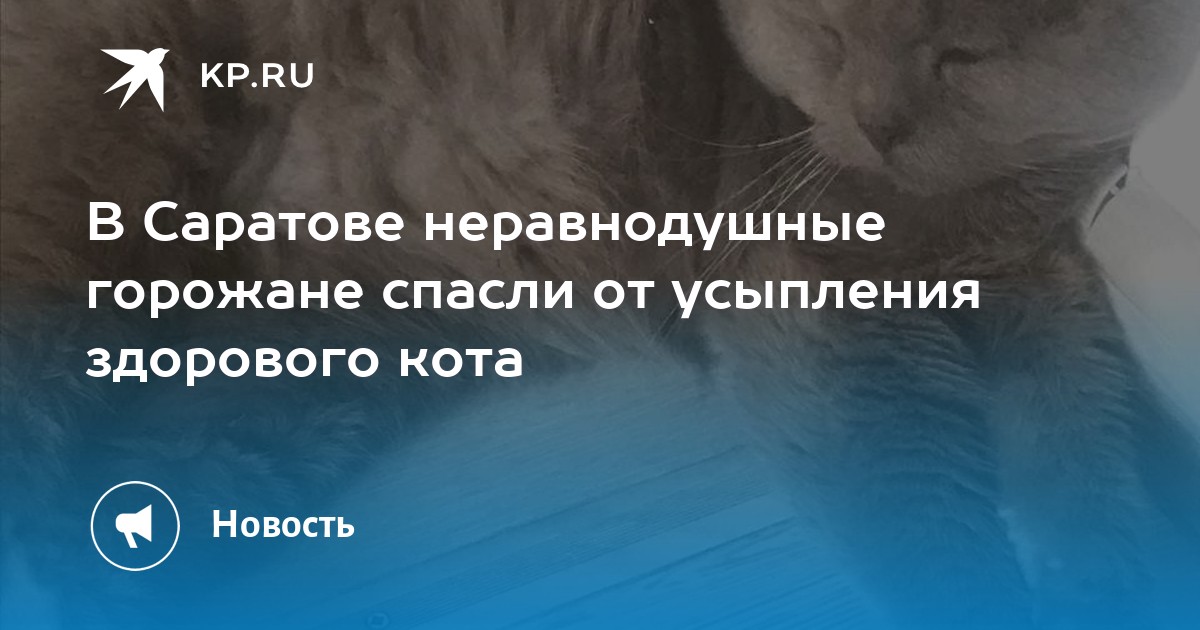 The amazing spider-man 2 игра дядя бен. ассасин крид 1 начало. спасти горожанина. спасти горожанина. спасти горожанина.