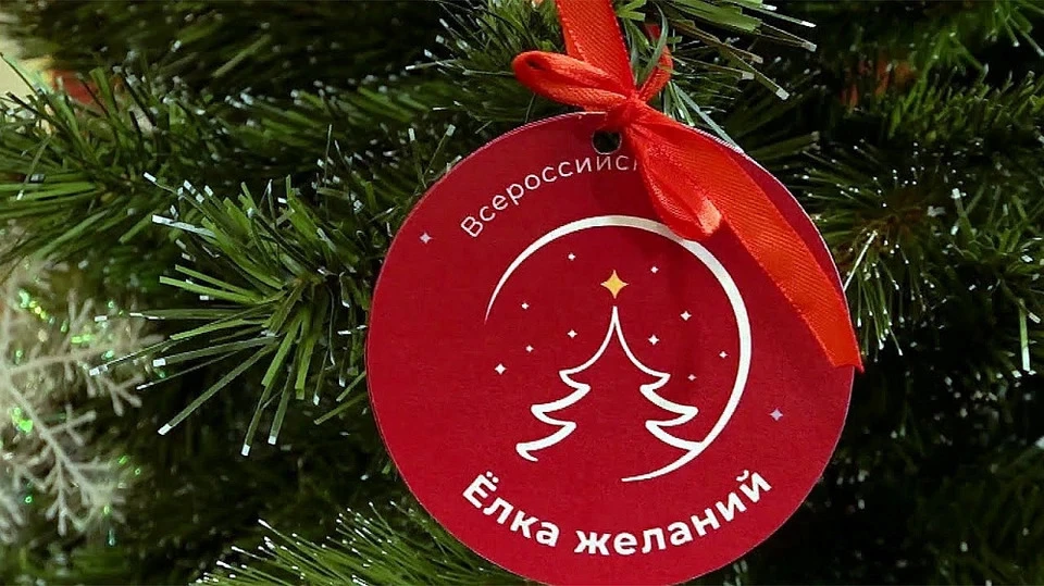 Мечта школьника из Сочи осуществилась благодаря акции "Елка желаний". Фото: admkrai.krasnodar.ru
