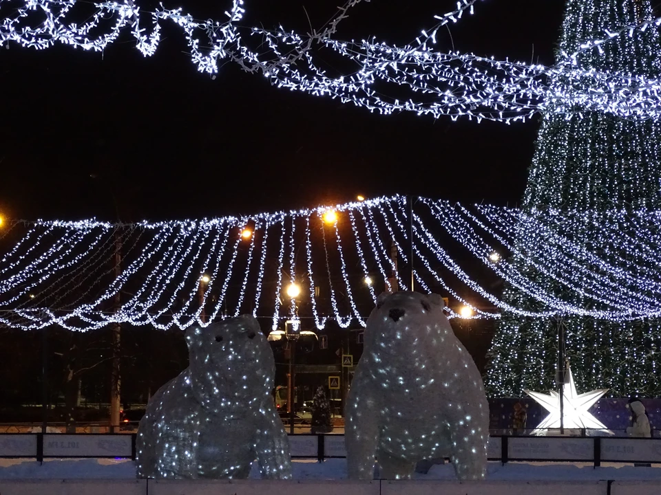 Полярные медведи вернулись на площадь к "Звездному" в Липецке