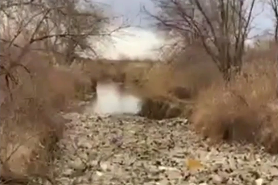 Фото: стоп-кадр видео очевидца