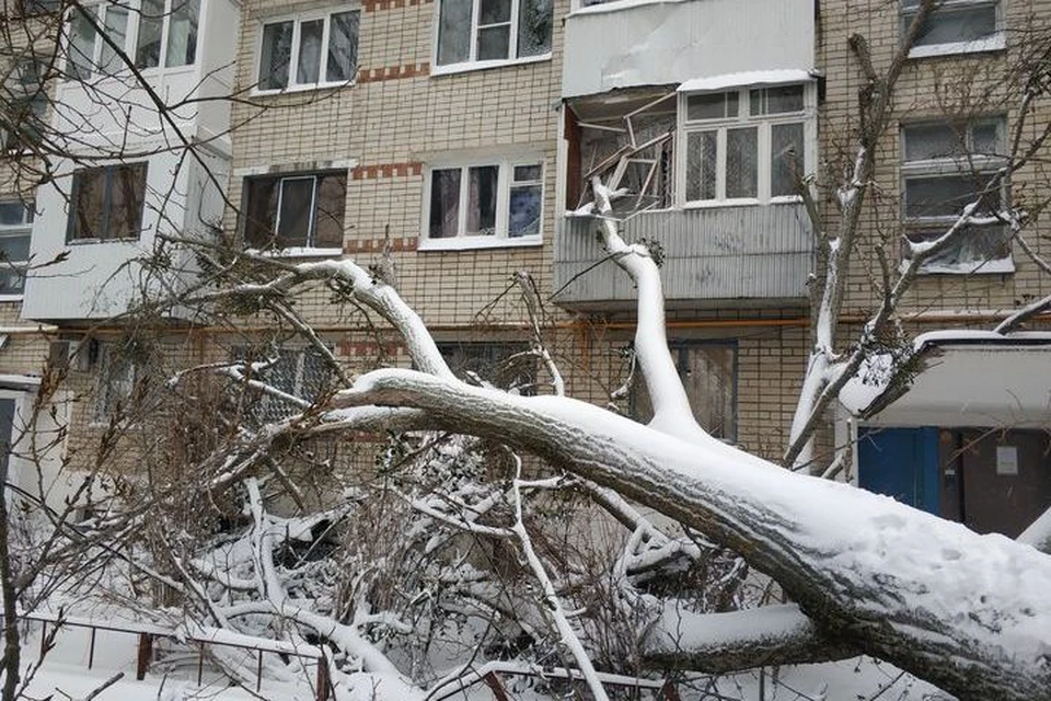 Дерево рухнуло на дом на улице Дзержинского.