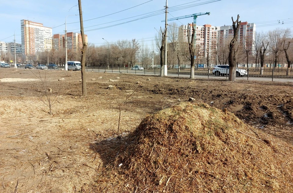 С вырубки деревьев начинался и первый этап благоустройства.
