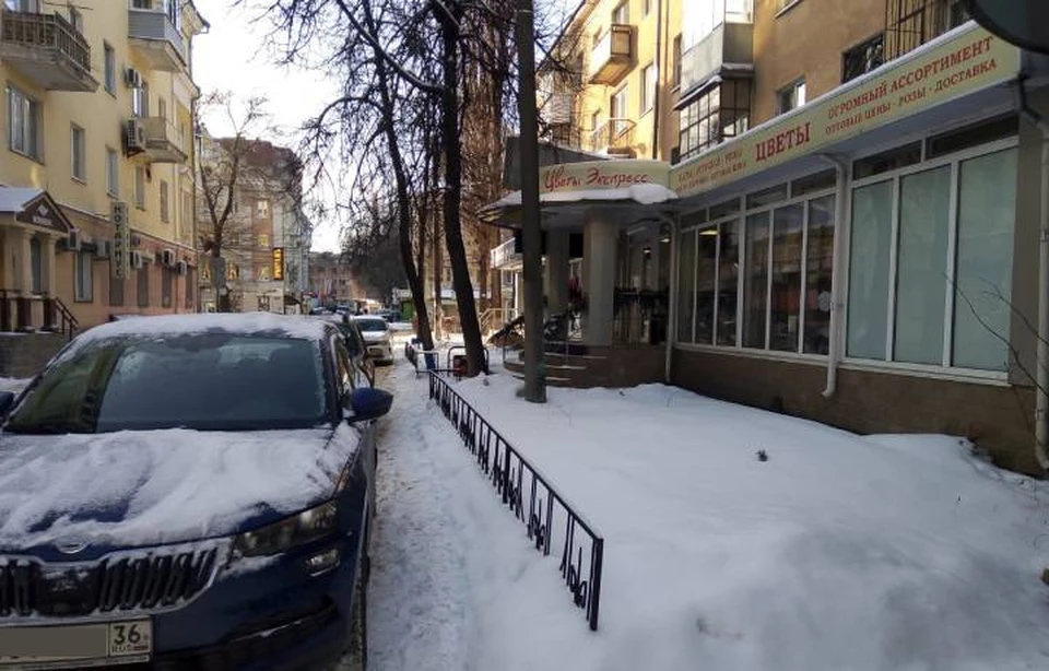 Чуть в сторону от одной из главных улиц Воронежа Плехановской, и нас ждет нетронутая снежная целина.