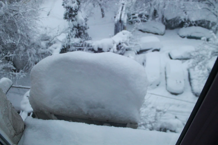 Рекордный снегопад в Краснодаре: такого количества осадков не было за всю историю метеорологии