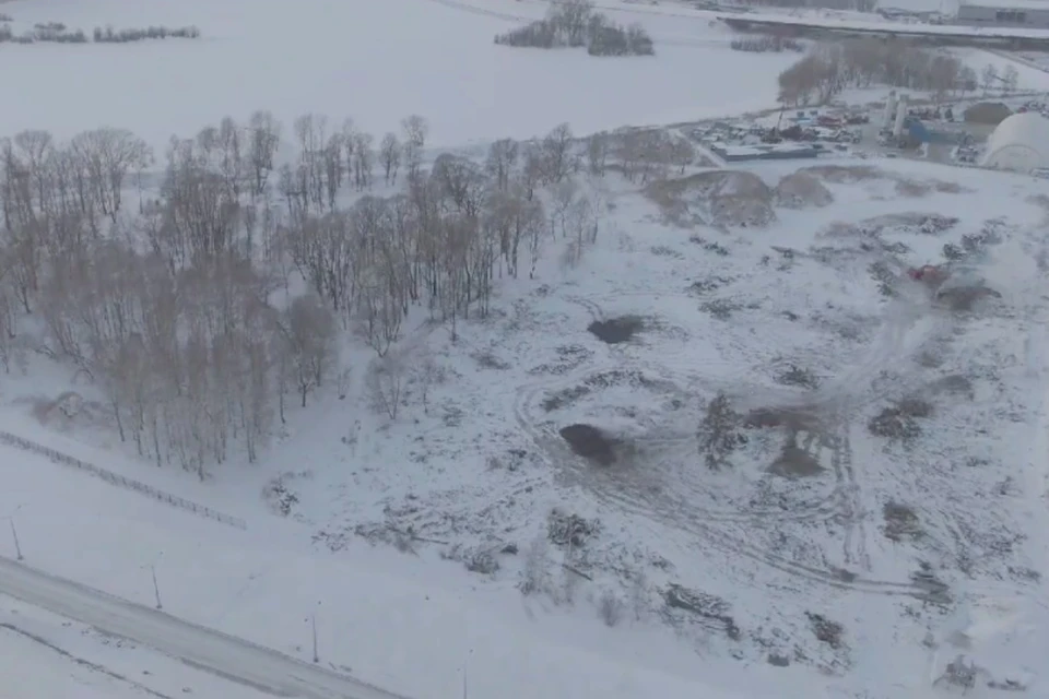 На участке активно вырубают деревья. Фото: Михаил Рязанцев