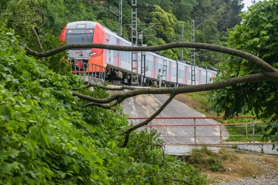 6,7 млн пассажиров обслужили вокзалы Сочи и Адлера в 2021 году Фото из архива КП