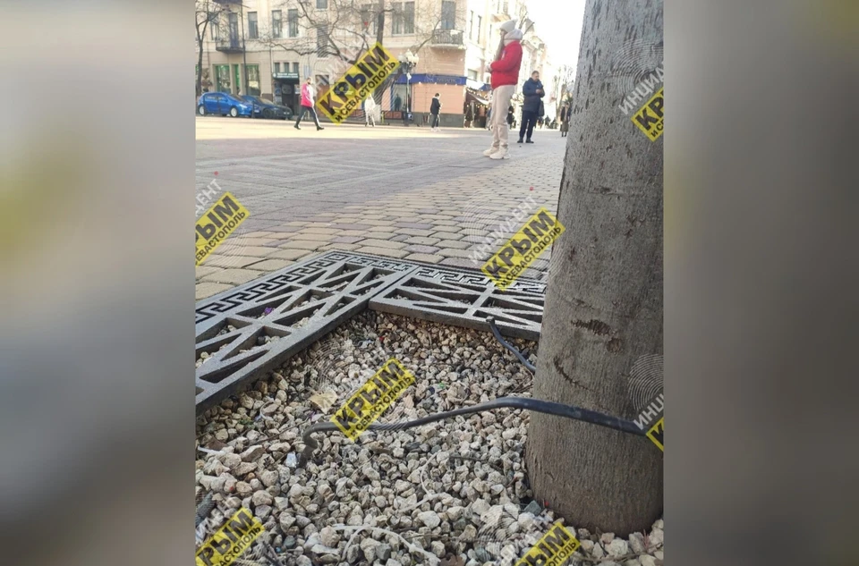 Ранее о факту смерти животного провели проверку, но ничего не нашли. Фото: Инцидент Крым|Симферополь|Севастополь ДТП/vk