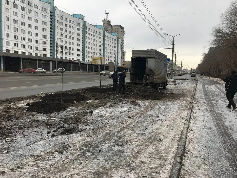 Подрядчик обязан будет заменить деревья за свой счет. Фото: Эко-Standart